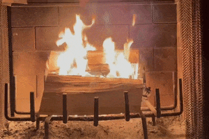 Fire Roasting GIF by This Bushwick Life