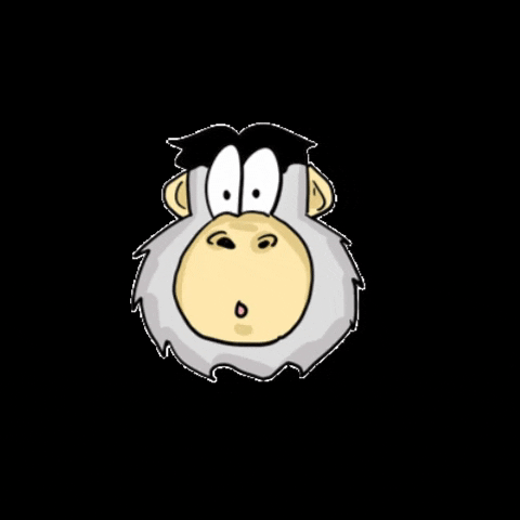 iggoyelfitra monkey macaca dabar beruk GIF
