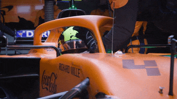 200.gif?cid=fc005b080ffff73de1dd008a6a6276ac46ad562475438285&rid=200.gif&ct=g