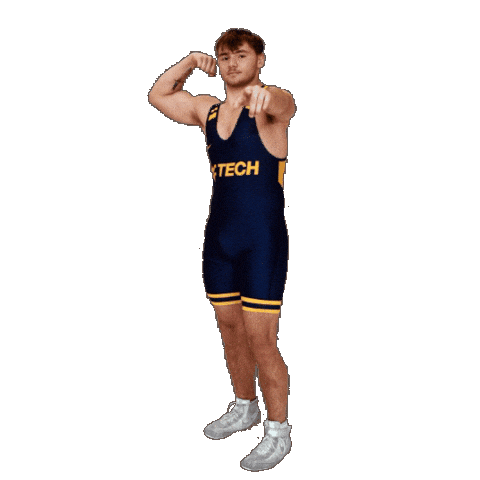 Wrestling Sticker by WVU Tech Golden Bears