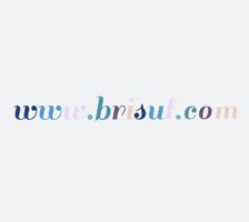Bri Sul GIF