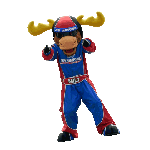 New Hampshire Motor Speedway Sticker