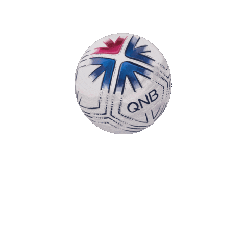 Football Soccer Sticker by QNB Group