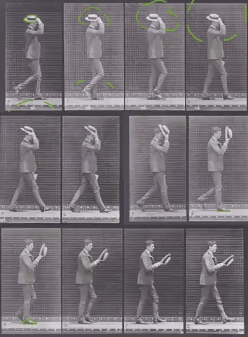 Animated GIF