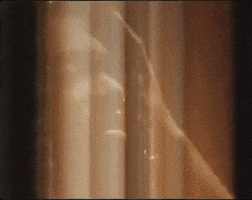 Gold GIF by Mereba