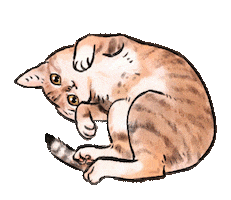 Cats Sticker