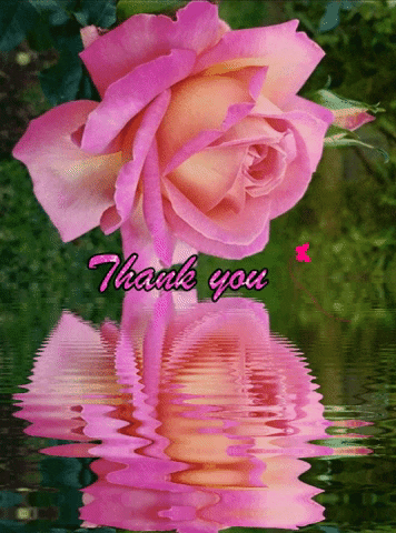Thank You GIF