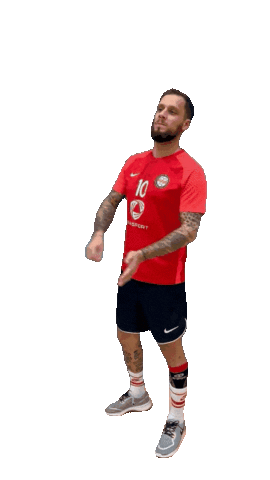 Handball Sticker