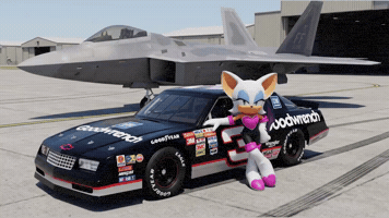 Rouge The Bat GIF