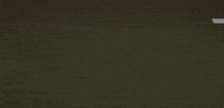 GIF by Lafayette Leopards