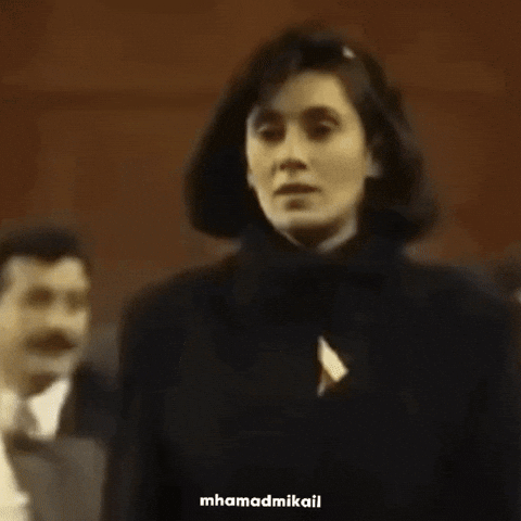 Turkey Kurdistan GIF