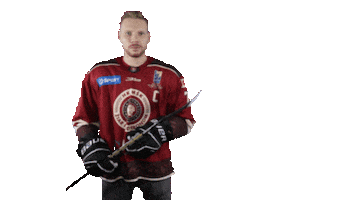 TIPOS Slovenská hokejová liga Sticker