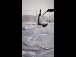 Bodegas Emilio Moro GIF