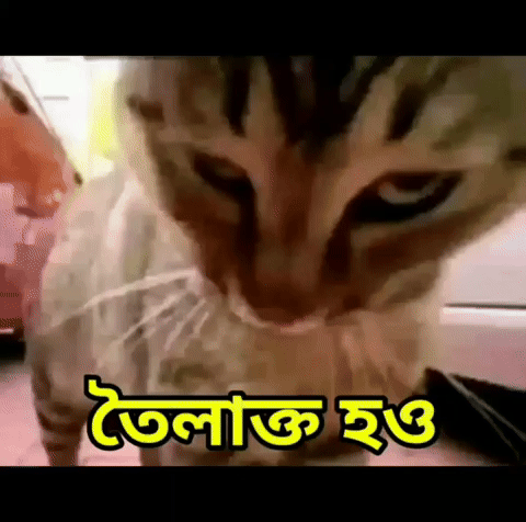 Bangladeshi GIF