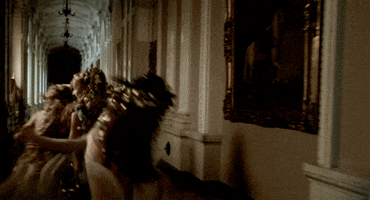 russian ark trivia GIF by Maudit