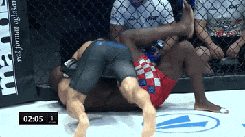 Mma GIF