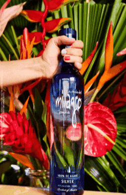 Flowers Weekend GIF by Milagro Tequila