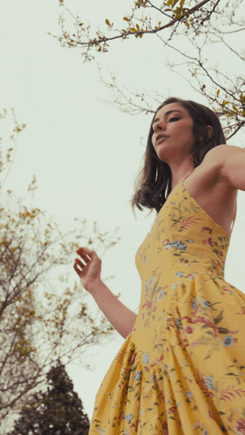 Brunschwig & Fils GIF