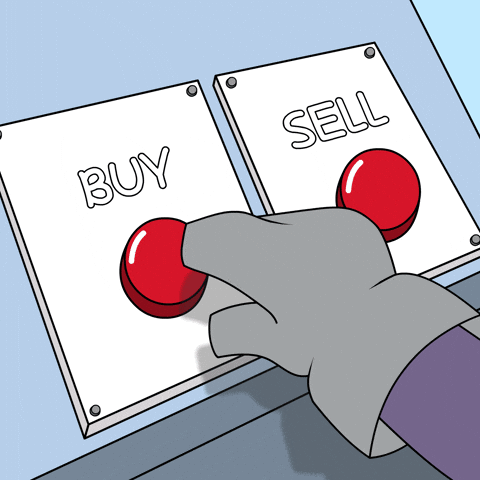 Bear Buy GIF by Aurory