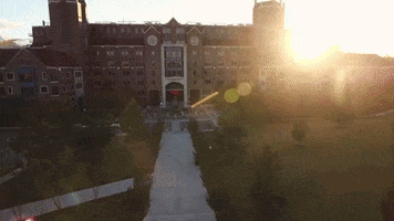 Florida State University Seminoles GIF by FSU Campus Rec