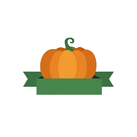 Pumpkin Thanksgiving Sticker by Amy's Kitchen
