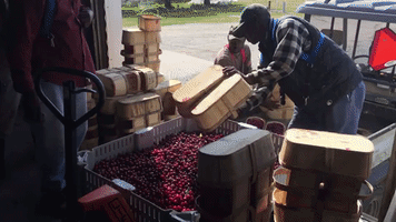Cbc Cherries GIF
