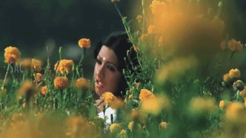 Sri Devi GIF