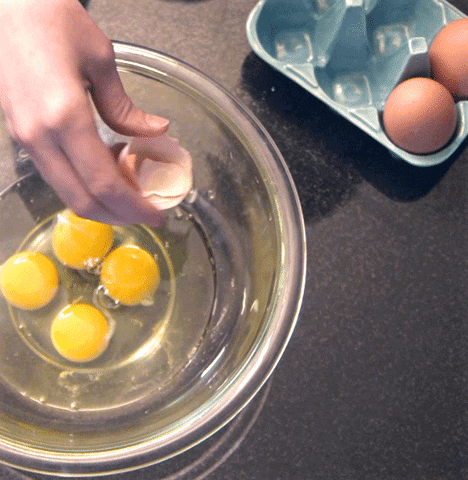  eggs GIF