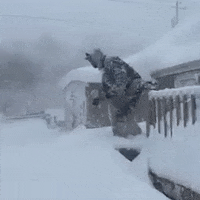Lake Effect Snow GIF by Storyful