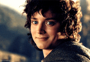 Happy The Lord Of The Rings GIF