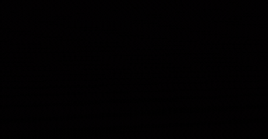 Action GIF