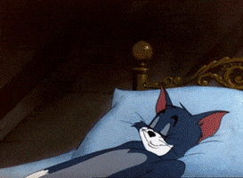 tom and jerry