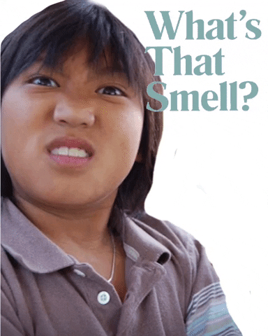 Smell What Is That GIF