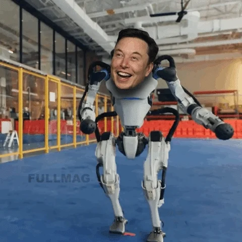 Elon Musk Lol GIF
