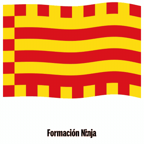 Flag Spain GIF by Formación Ninja