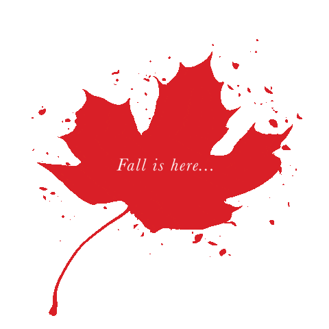 Fall Autumn Sticker
