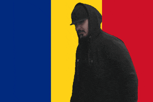 Romanian Flag Nft GIF by MultiversX
