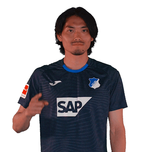 Sport Bundesliga Sticker by TSG Hoffenheim