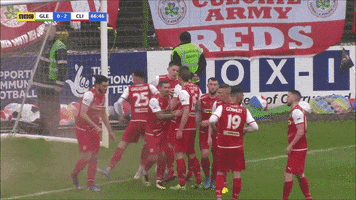 Celebrate Team Spirit GIF by Cliftonville Football Club