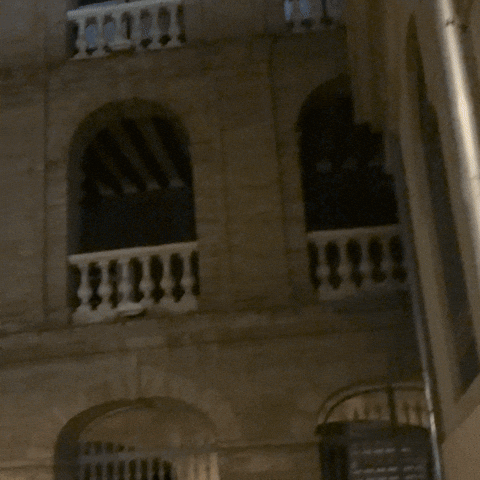 European Union Travel GIF