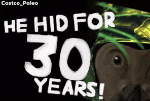 Who Is This Dinosaur GIF