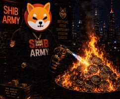Shiba Inu Gif By Shib GIF