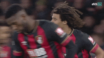 Football Win GIF by AFC Bournemouth
