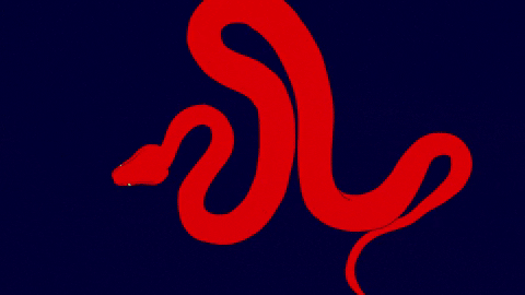 animated snake gif