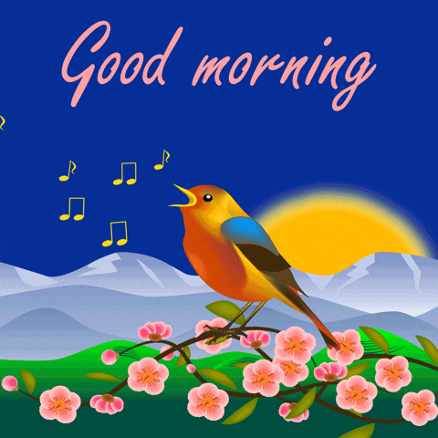 Illustrated gif. A bird is perched on a cherry blossom branch and sings out. The sun rises over the mountains causing the sky to change from dark blue to purple. Text, “Good morning.”