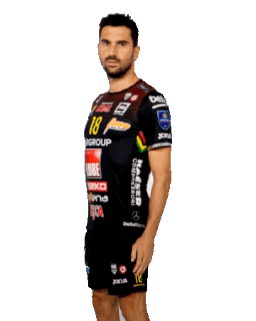 lubevolley Sticker