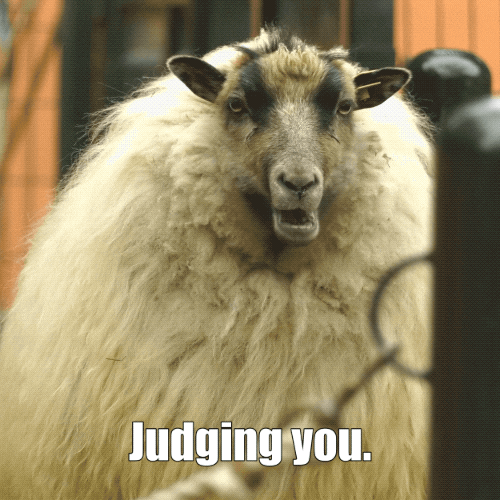 Judging You GIF by Los Angeles Zoo and Botanical Gardens