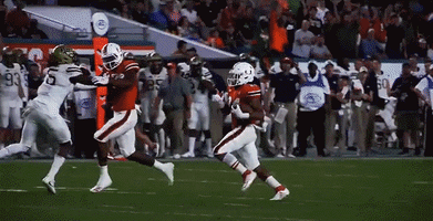 canes football homer GIF by Miami Hurricanes