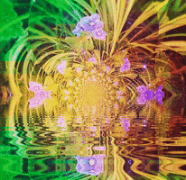 Kaleidoscope Fractals GIF