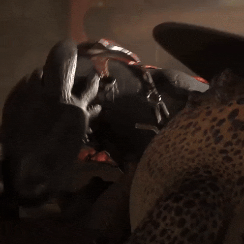 Howtotrainyourdragon3 Love GIF